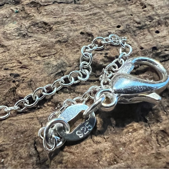 🔥Host Pick🔥Baltic Red Orange Cognac Amber Sterling Wrapped Pendant & Chain 18” - Picture 9 of 12